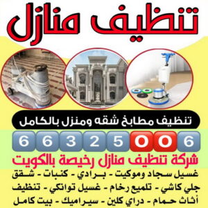 شركة تنظيف منازل